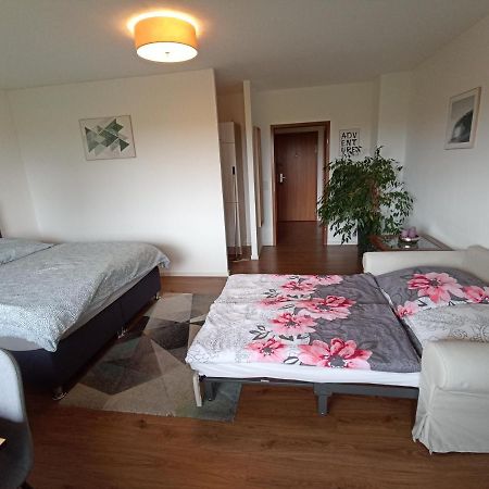 Exklusives Apartment zw. LU und Speyer mit Aufzug Neuhofen Exterior foto